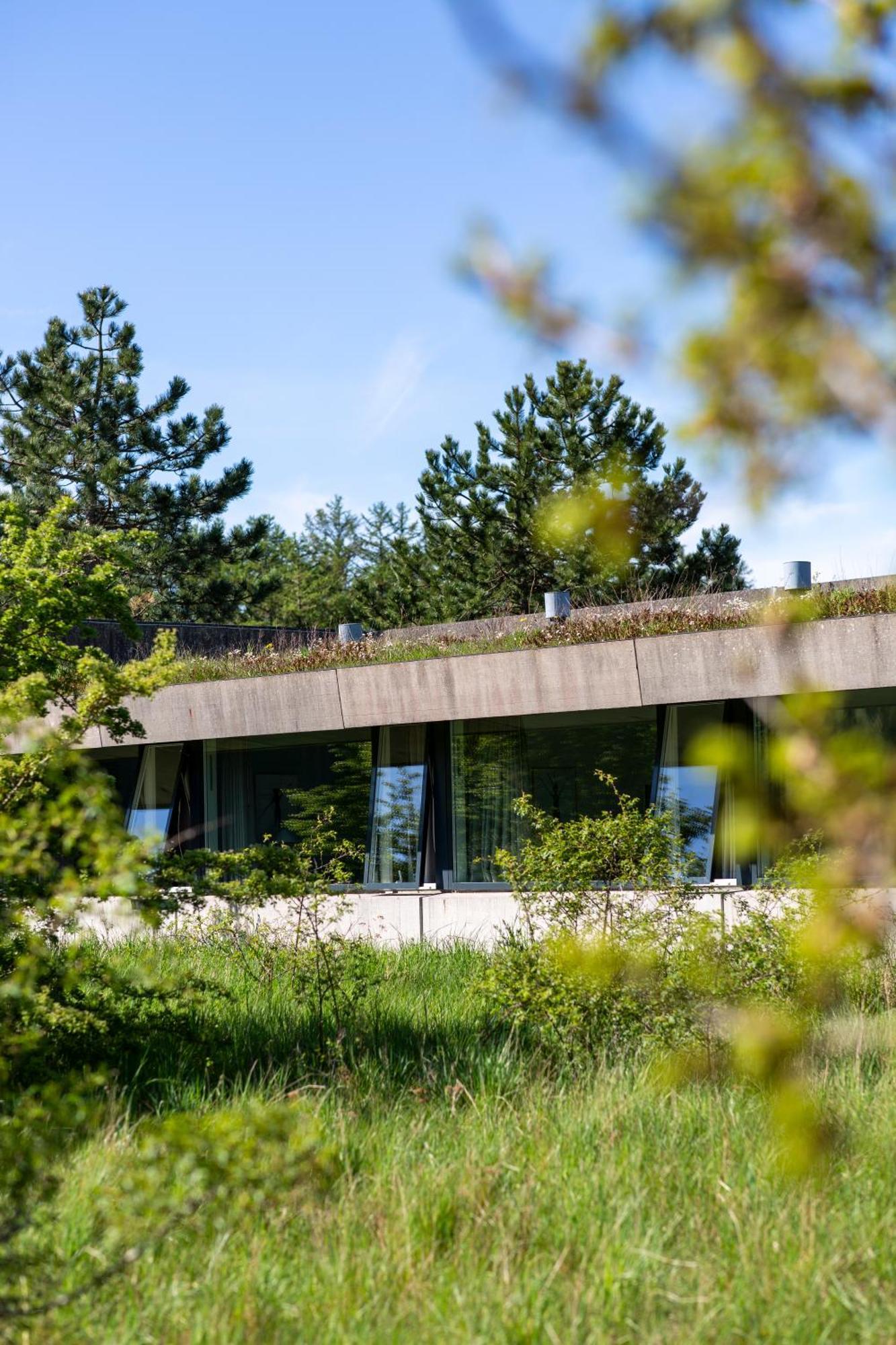 Hotel Toppen Af Ebeltoft Dış mekan fotoğraf